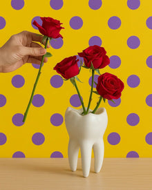 Tooth-shaped ceramic vase for quirky home decor