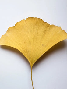 Antioxidáns ginkgo gél booster 30 ml