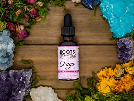 Organic chaga mushroom tincture bottle