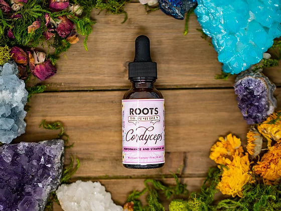 Organic cordyceps mushroom tincture in a 1 oz bottle