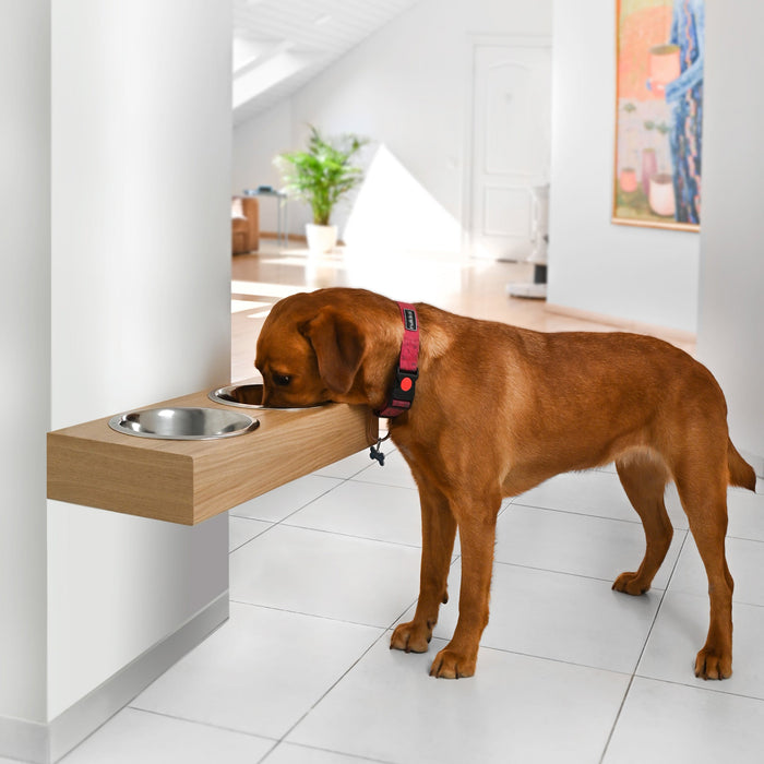 Wall-mounted oak wooden dog feeding station with two stainless steel bowls