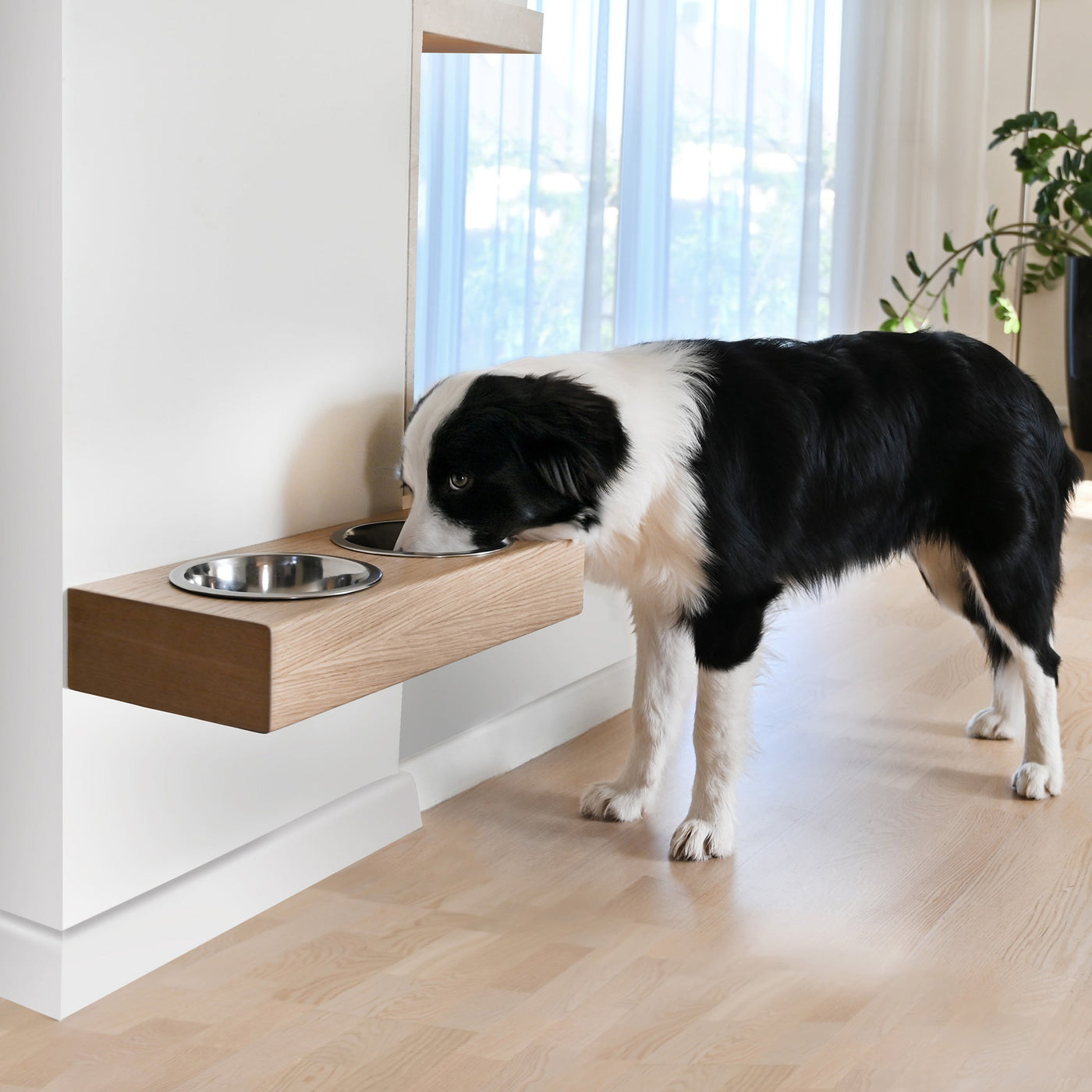 Oak wall-mounted elevated pet bowl stand with two stainless steel bowls