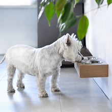 Wall-mounted oak wooden pet bowl stand with two stainless steel bowls for small dogs and cats