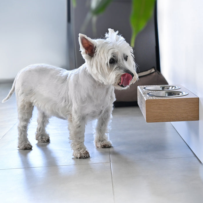 Wall-mounted oak wooden pet bowl stand with two stainless steel bowls for small dogs and cats