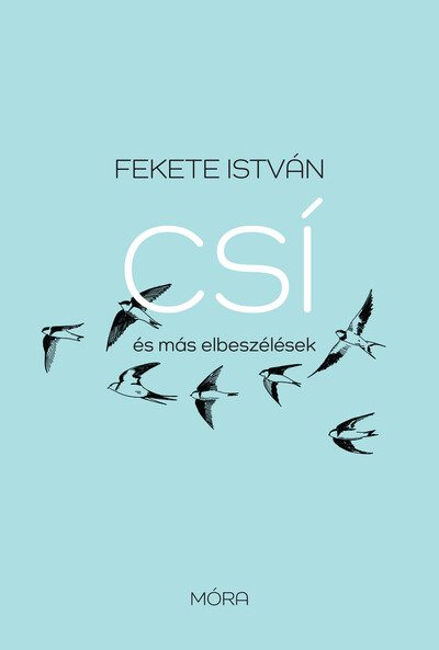 Csí és más elbeszélések könyvborító