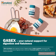 Himalaya Gasex digestive support tablets in 100 tablet pack