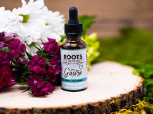 Gastro digestive support herbal tincture in 1 oz bottle