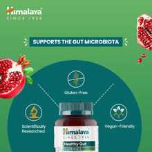 Himalaya Healthy Gut Gummies-2