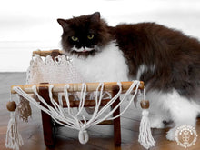 Ecru cat hammock with wooden stand for indoor cats