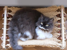Taupe cat hammock with wooden stand for a cosy raised pet bed