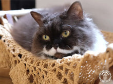 Taupe cat hammock with wooden stand for a cosy raised pet bed