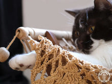 Taupe cat hammock with wooden stand for a cosy raised pet bed