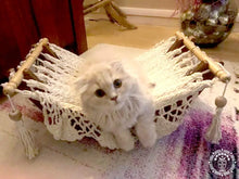 Ecru cat hammock with wooden stand for indoor cats