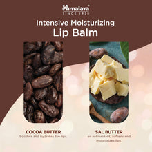 Himalaya Intensive Moisturizing Cocoa Butter Lip Balm - 4.5 g - Zencloudshop.eu