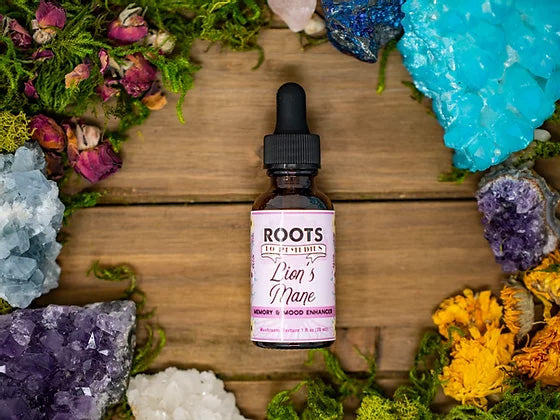 Lion’s Mane mushroom tincture bottle