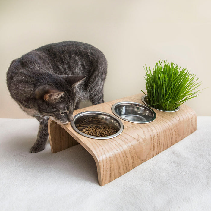 Wooden elevated pet bowl stand with three stainless steel bowls in oak finish
