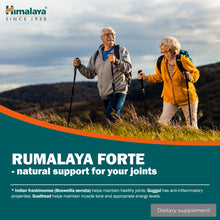 Himalaya Rumalaya Forte étrend-kiegészítő tabletta 60 db