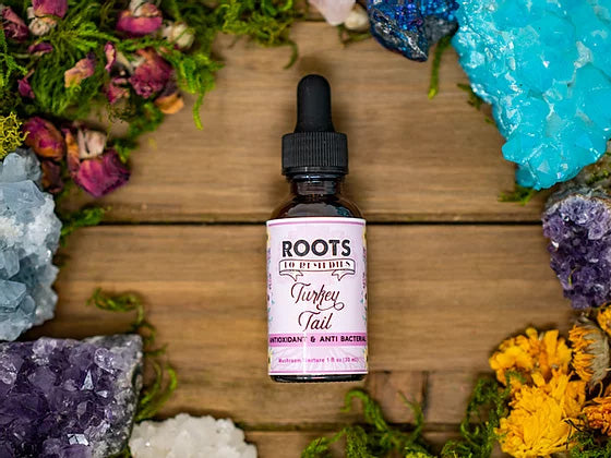 Organic Turkey Tail mushroom tincture bottle