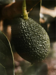 C-vitaminos arcszérum