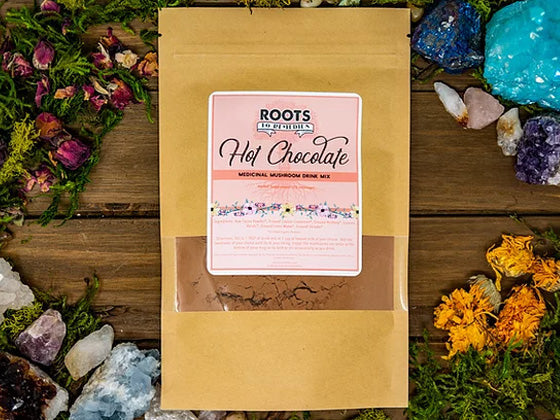 Medicinal mushroom hot chocolate mix with organic cacao and functional mushrooms
